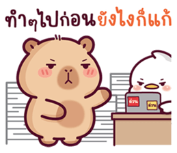 บงบง คาปิบาร่าเจ้าแสบ13 รูปที่ 27
