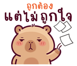บงบง คาปิบาร่าเจ้าแสบ13 รูปที่ 28