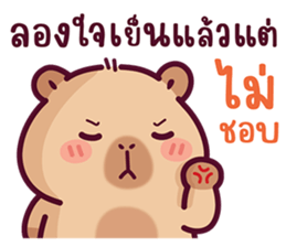 บงบง คาปิบาร่าเจ้าแสบ13 รูปที่ 29