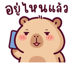 บงบง คาปิบาร่าเจ้าแสบ13 รูปที่ 33