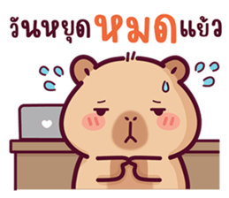 บงบง คาปิบาร่าเจ้าแสบ13 รูปที่ 35