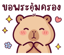 บงบง คาปิบาร่าเจ้าแสบ13 รูปที่ 37