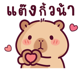 บงบง คาปิบาร่าเจ้าแสบ13 รูปที่ 38