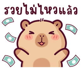 บงบง คาปิบาร่าเจ้าแสบ13 รูปที่ 39
