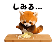 830729553