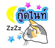 8307593