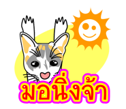 8307594