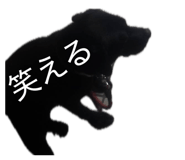 830775268