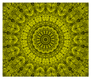 830798602