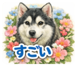 830799737