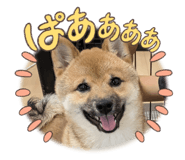 830839760