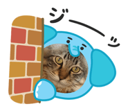 830853496