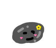 830857206