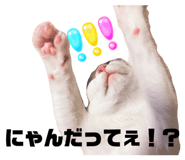 830865493