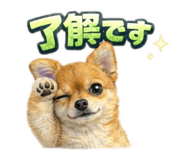 830866153