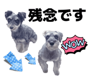 830877324