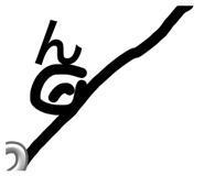 830879010