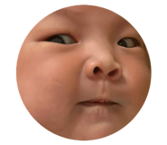 830886734