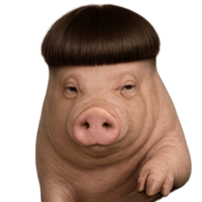 ลายที่ 13