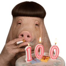 ลายที่ 15