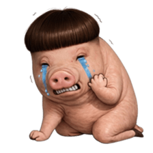 ลายที่ 23