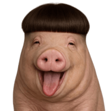 ลายที่ 27