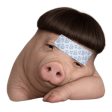 ลายที่ 29