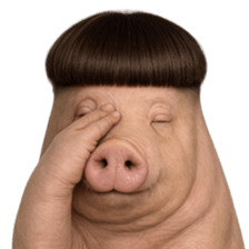 ลายที่ 33