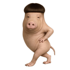 ลายที่ 41