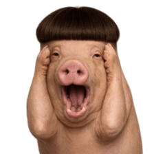 ลายที่ 49