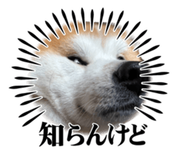 830893425
