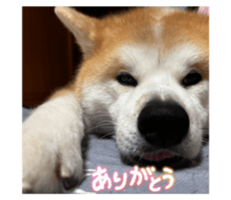 830893436