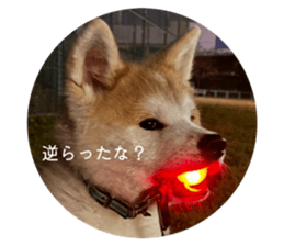 830893438