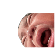 830893981