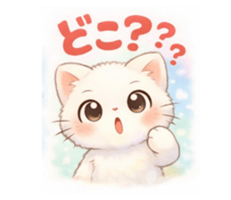 830897210