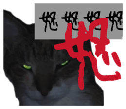 830898256