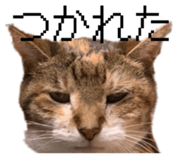 830898261
