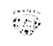 830898607
