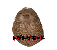 830902869