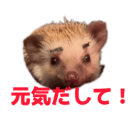 830902874