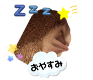 830902875