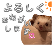 830902877