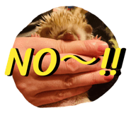 830902897