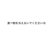 830946728