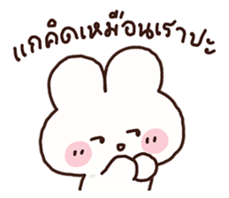 ลายที่ 13