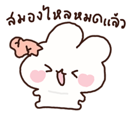 ลายที่ 19