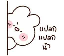 ลายที่ 23