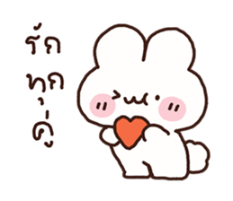 ลายที่ 43