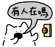 830955888