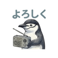 830962255
